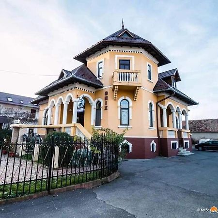 Pensiunea Onix Făgăraş Εξωτερικό φωτογραφία