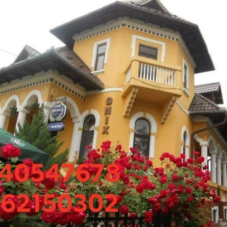 Pensiunea Onix Făgăraş Εξωτερικό φωτογραφία