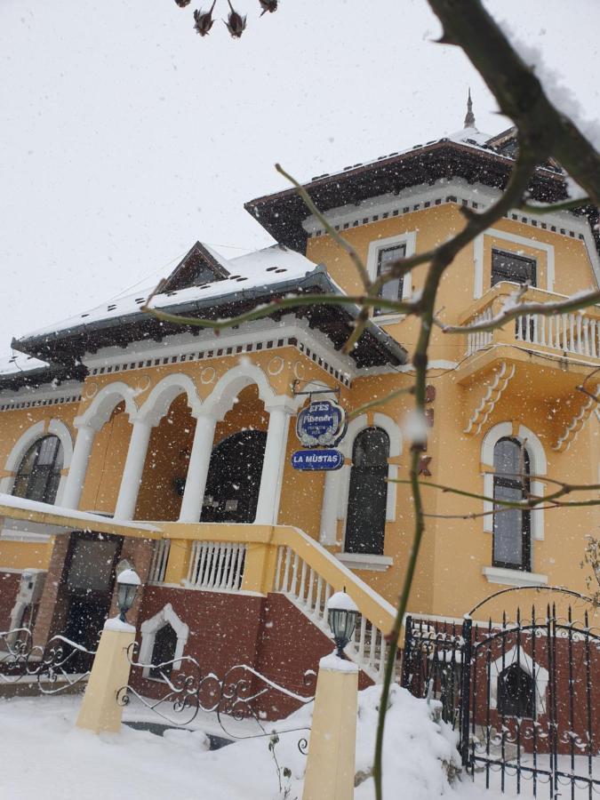 Pensiunea Onix Făgăraş Εξωτερικό φωτογραφία