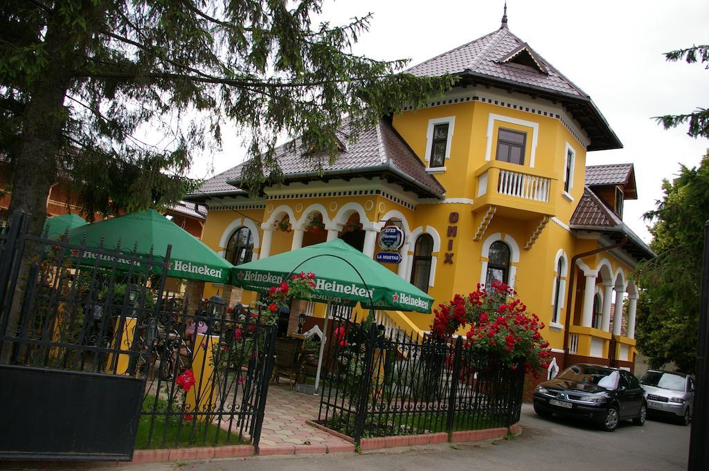 Pensiunea Onix Făgăraş Εξωτερικό φωτογραφία