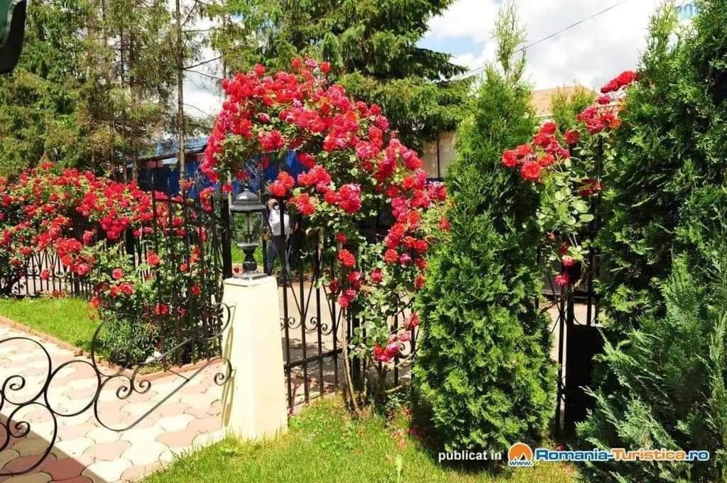 Pensiunea Onix Făgăraş Εξωτερικό φωτογραφία
