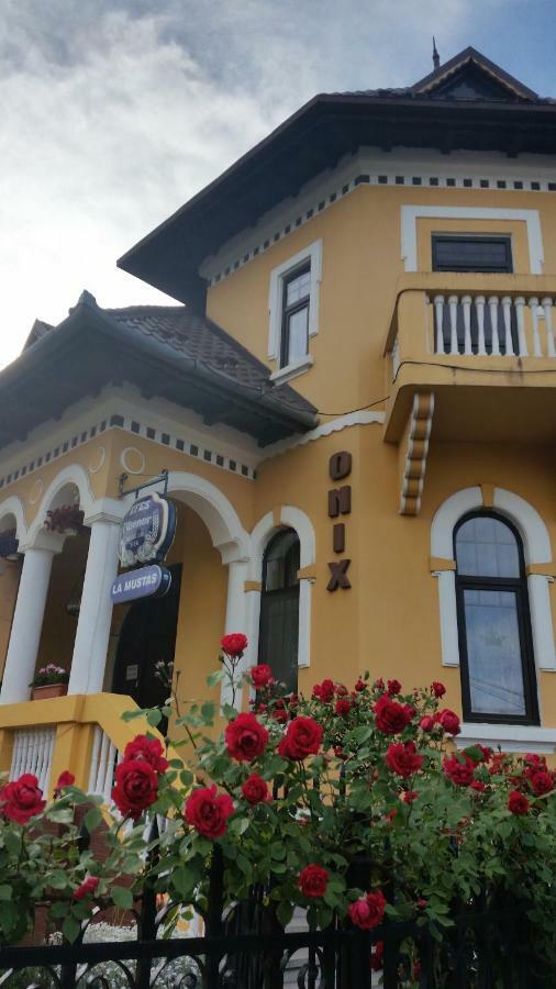 Pensiunea Onix Făgăraş Εξωτερικό φωτογραφία