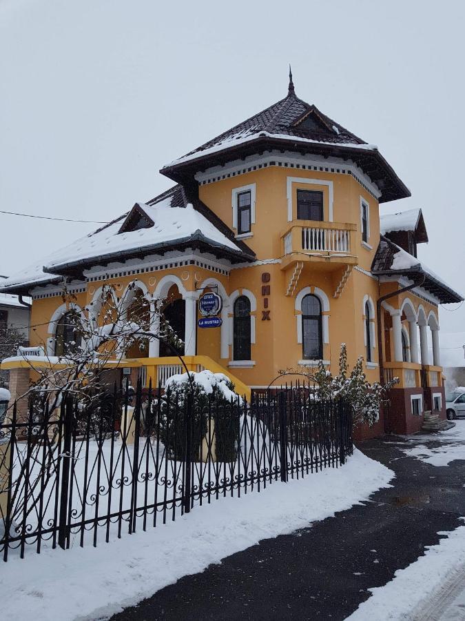 Pensiunea Onix Făgăraş Εξωτερικό φωτογραφία